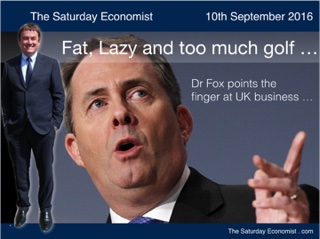 The Saturday Economist - Dr Fox points the finger ...